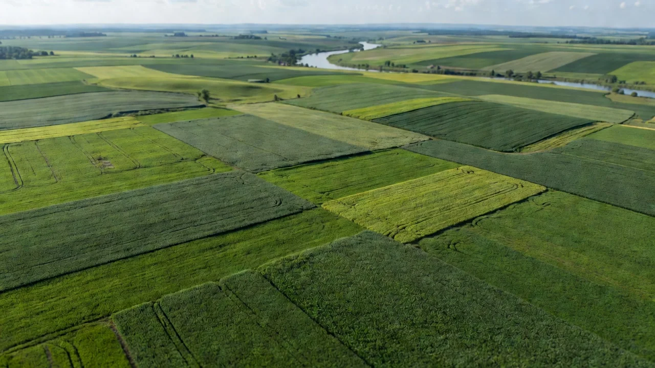 Vista aérea de un valle agrícola con parcelas de distintos tonos de verde y un río al fondo